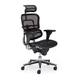 Ergonomic office chair Ergohuman by BulDesk